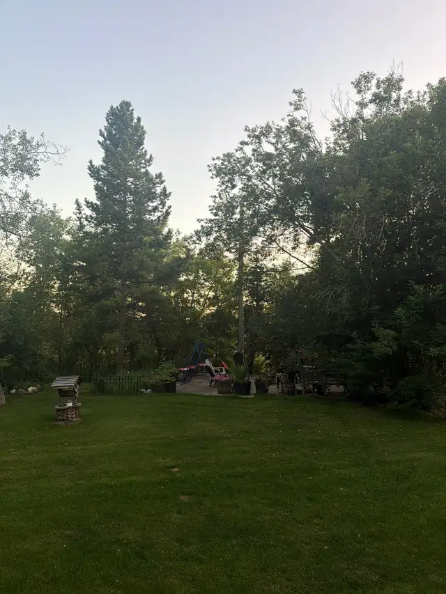 tree trim and falling helper 