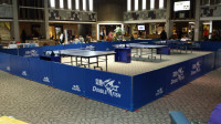 RENTAL: Professional Ping Pong Tables for your Tournament/ Party