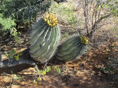 Your Private Paradise Awaits, View more