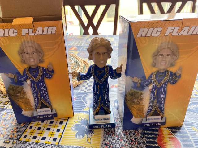 Ric Flair Bobblehead  in Arts & Collectibles in Brantford