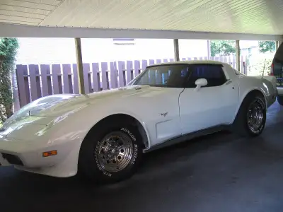 1978 Corvette L 82, matching #'s, needs a little TLC.. brake pedal is soft ?, small paint bubble, ba...