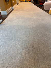 Used family carpet long size in family room