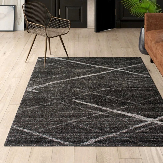 Brand New 4' x 6' Area Rug in Rugs, Carpets & Runners in Hamilton - Image 2