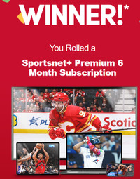 Selling 6 month Sportsnet+ premium subscription