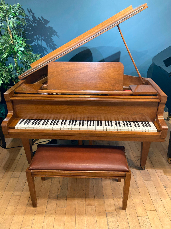 Danemann Baby Grand Piano dans Pianos et claviers  à Ville de Montréal