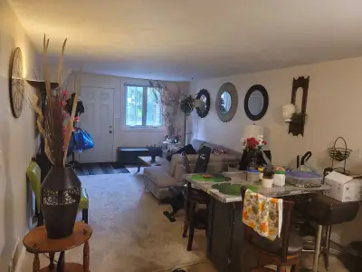 Looking for a Roommate in private bedroom