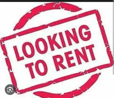 looking for 3 bedroom
