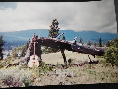 Lost Ovation Bass, View more