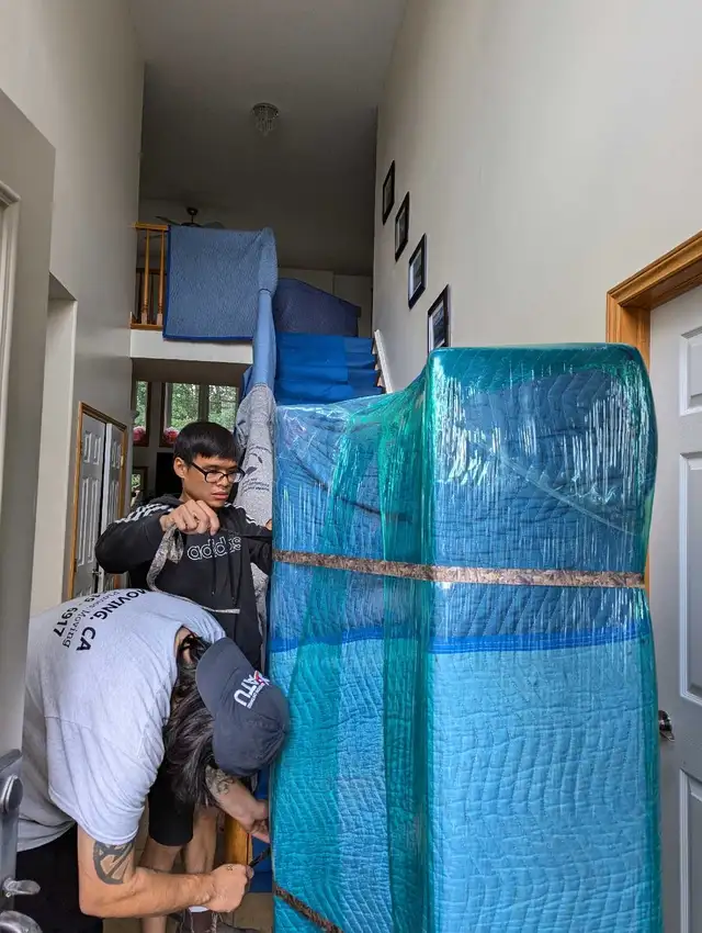 PIANO MOVERS64241768657666124