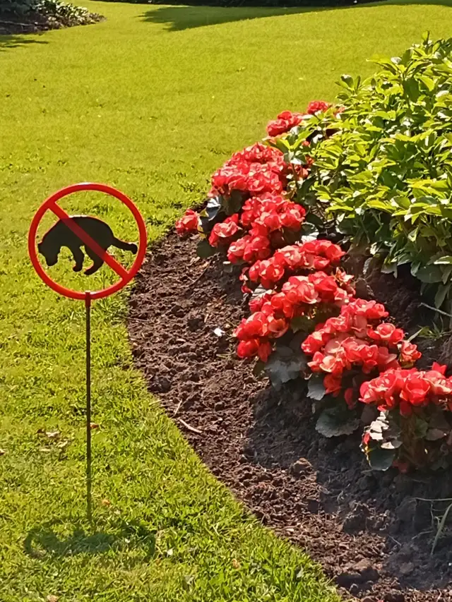 No Poop!!! in Accessories in St. Catharines - Image 4