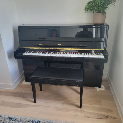 Piano - Young Chang for sale