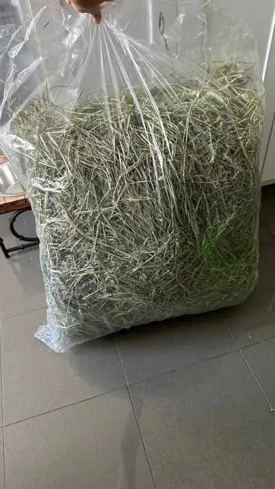 Rabbit / pig/ Guinea. Timothy hay 2nd cut 6 lbs , from Freshay , View more