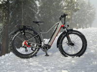 IGO ELECTRIC -   EXTREME 3.1 FAT TIRE  E-BICYCLE