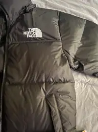 Large North Face puffer