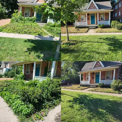 OVERGROWN YARD? FAST LAWN CLEAN UP! SAME DAY SERVICE AVAILABLE!, View more