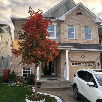Beautiful 3bedroom+Loft single detached house for rent in Kanata