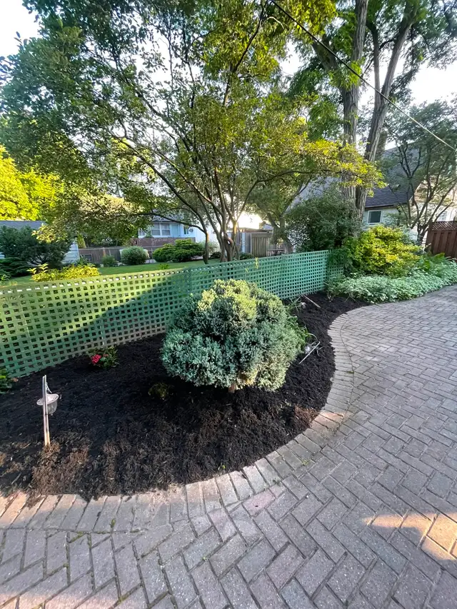 Mulch, Yard Cleanup & Garden Projects | Oakville & Burlington in Lawn, Tree Maintenance & Eavestrough in Oakville / Halton Region - Image 10