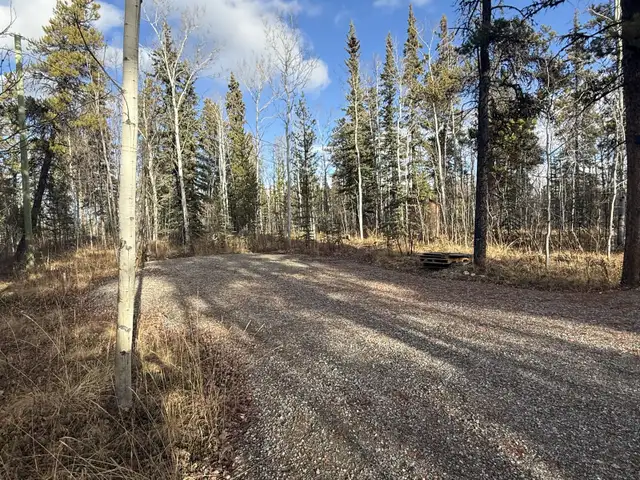 tiny home pad in Long Term Rentals in Whitehorse - Image 5