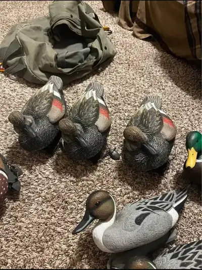 Duck Decoys, View more