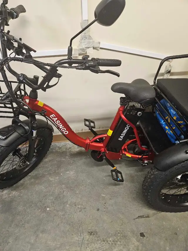 EASINGO Electric Tricycle 750W