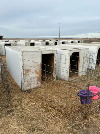 Calf Hutches, View more