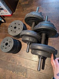 Adjustable dumbbells and 55lbs of weights 