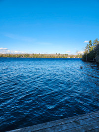 Private off-grid lakefront cottage at a quarter of the cost!