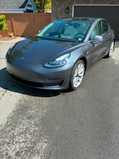 2019 Tesla Model 3 Long Range RWD with Full Self Driving Package - Low Mileage in excellent conditio...