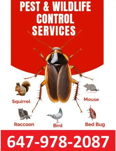 Pest Control Services and wildlife control, View more