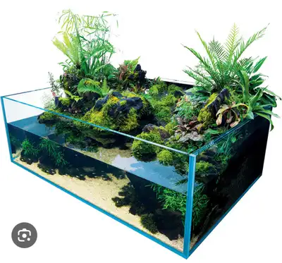 Glass terrarium/aquarium, View more