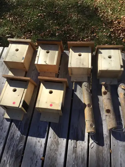 Bird houses and feeders for sale phone 204-3395784, View more