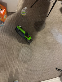 Carpet and area rug cleaning, pet stain  cleaning.