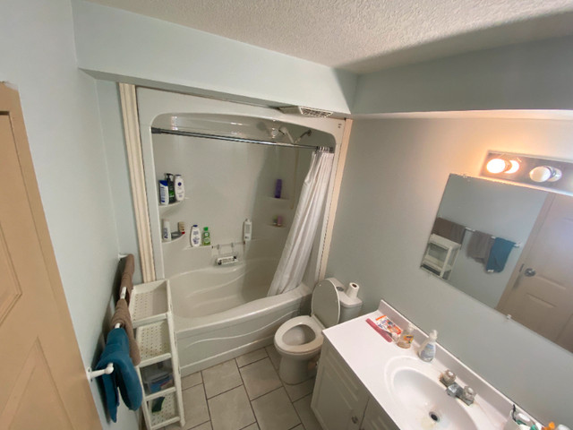 Private Room in Room Rentals & Roommates in Kitchener / Waterloo - Image 2