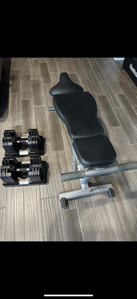 Adjustable Bowflex 60 lbs with commercial life fitness bench