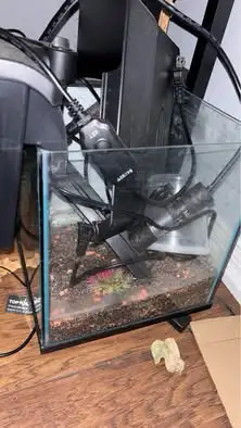 2 tanks 3 gallon and 5.5 gallon comes with heater and a pump, View more