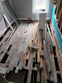 Maple hard wood flooring