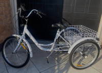Adult Tricycle with Basket