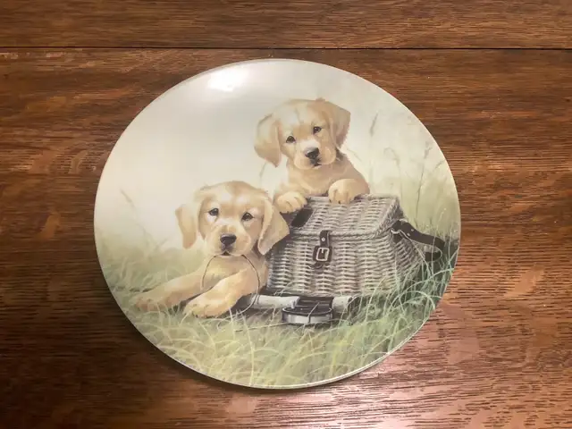 Limited edition Puppy Plates FS in Arts & Collectibles in Dartmouth - Image 8