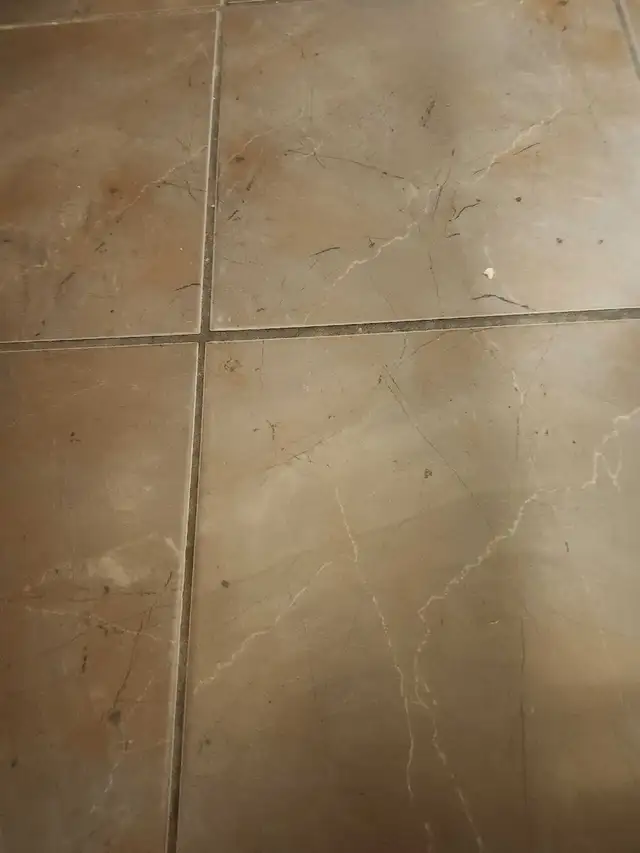 found wedding ring band64573402476419120