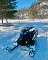 Ski-Doo Renegade 2016 600