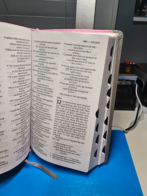 NIV PERSONAL SIZE BIBLE - LARGE PRINT in Other in Edmonton - Image 4