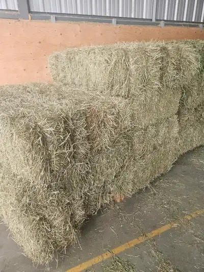 I am offering small square bales of hay for sale. Mixes available include 1st and 2nd cut timothy, 1...