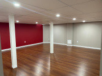 1br Basement Studio Style Apartment for Rent(Females or Couples)