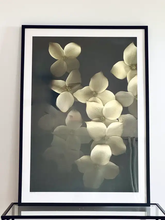 Grand Cadre Photo IKEA RIBBA Large Picture Frame in Home Décor & Accents in Québec City - Image 2