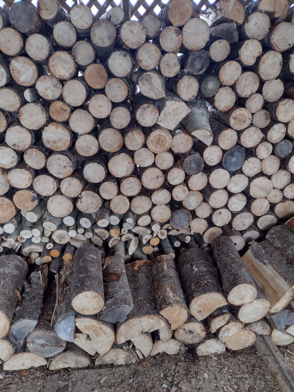 bois chauffage dans Foyers & bois de Chauffage  à Saguenay - Image 2