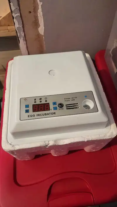 egg incubator, View more