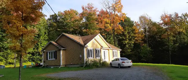 Room for rent / house to share62865717028738123