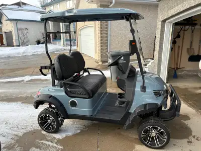 Brand new 2 seater golf cart 5kv motor 150 ah lithium battery LED lights 12 inch rims/tires LCD disp...