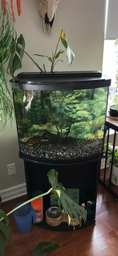 aquarium , View more