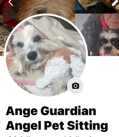 Gardienne d’animaux Privee  private pet sitter, View more